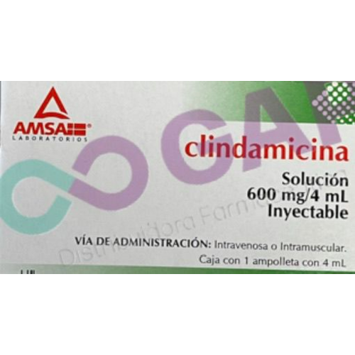 GE CLINDAMICINA AMSA SOL INY 600 MG 1 AMP 4 ML