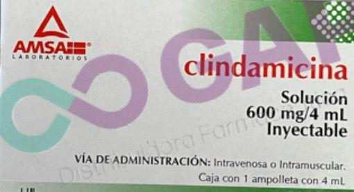 GE CLINDAMICINA AMSA SOL INY 600 MG 1 AMP 4 ML
