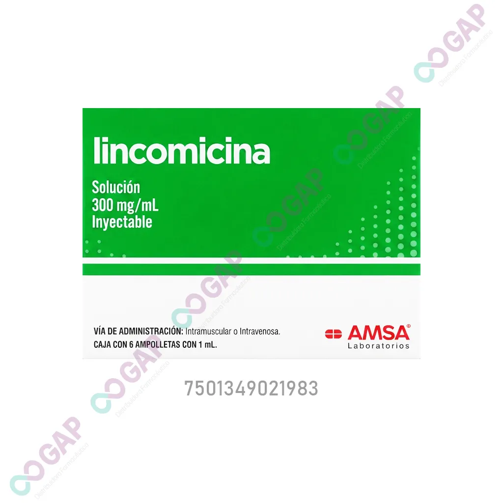 GE LINCOMICINA AMSA 600MG SOL INY 6 AMP