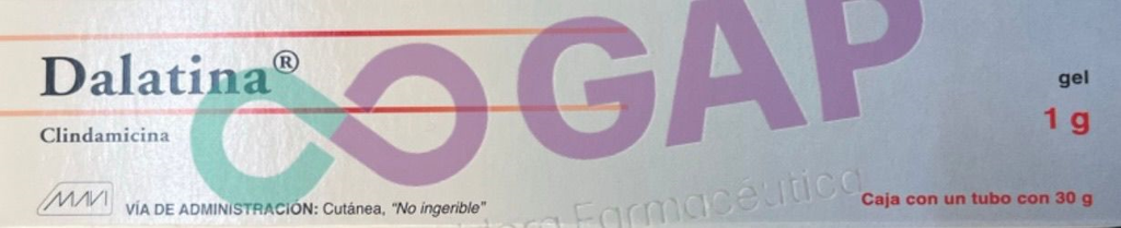 GE CLINDAMICINA DALATINA GEL 1 G TUBO 30 G