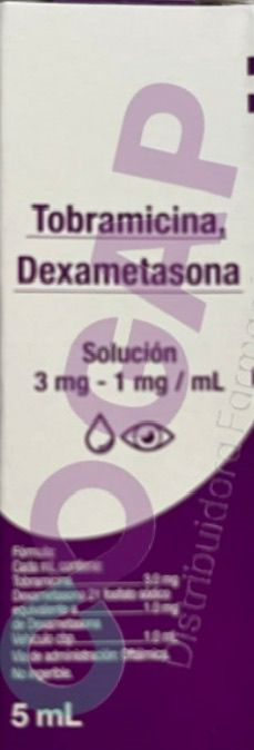 TOBRAMICINA DEXAMETASONA GRIN GTS OFT FCO 5ML
